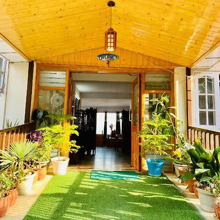 Sai Cottage Shimla Zewnętrze zdjęcie
