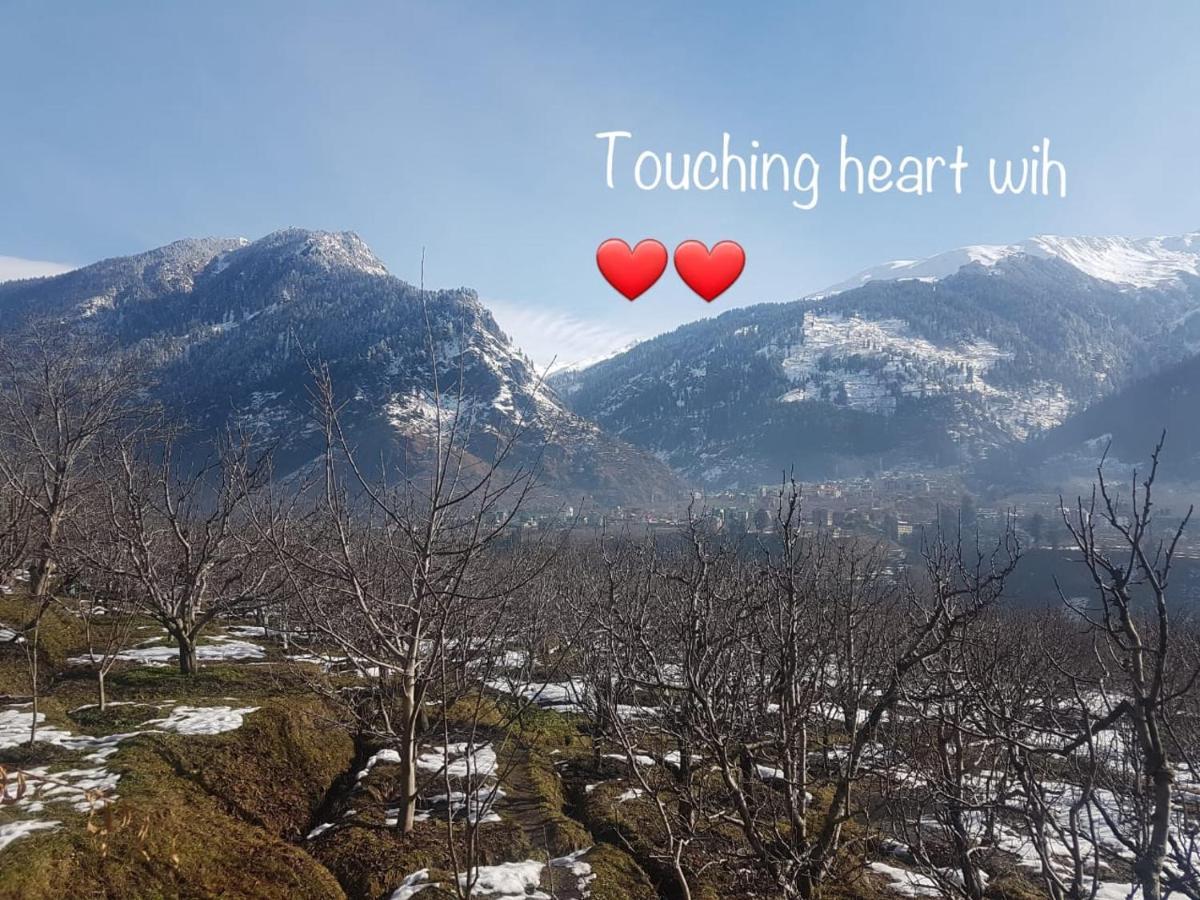 Sai Cottage Shimla Zewnętrze zdjęcie